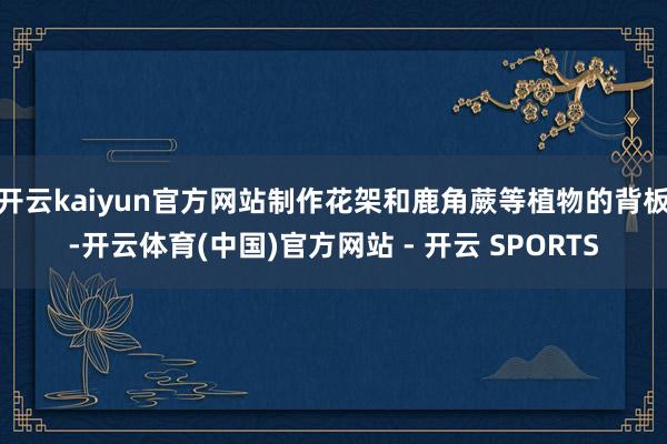 开云kaiyun官方网站制作花架和鹿角蕨等植物的背板-开云体育(中国)官方网站 - 开云 SPORTS