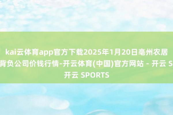 kai云体育app官方下载2025年1月20日亳州农居品有限背负公司价钱行情-开云体育(中国)官方网站 - 开云 SPORTS