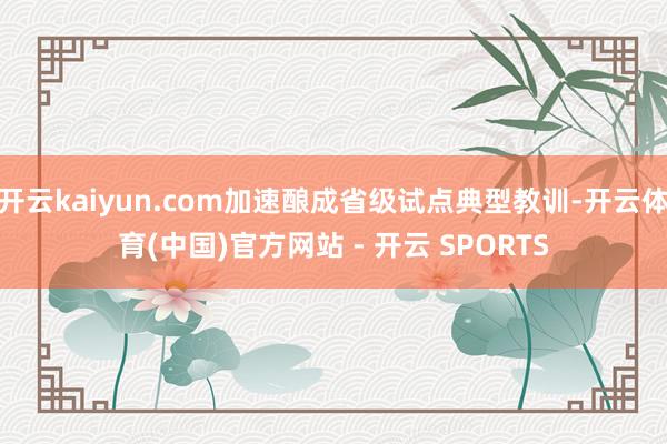 开云kaiyun.com加速酿成省级试点典型教训-开云体育(中国)官方网站 - 开云 SPORTS