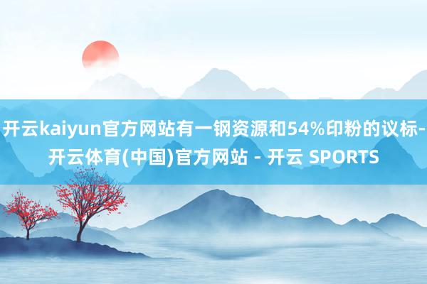 开云kaiyun官方网站有一钢资源和54%印粉的议标-开云体育(中国)官方网站 - 开云 SPORTS